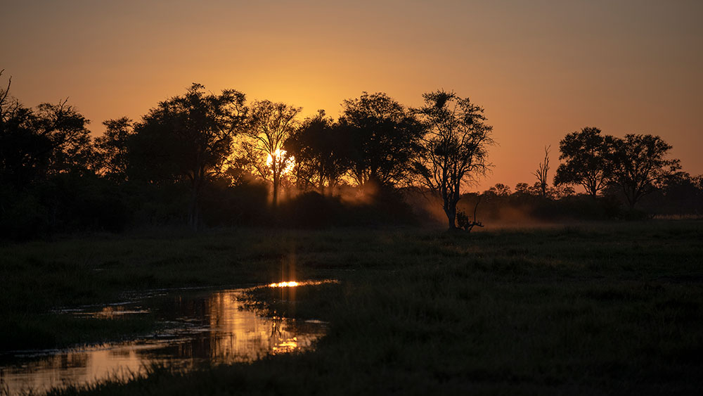 The cool mists of dawn 