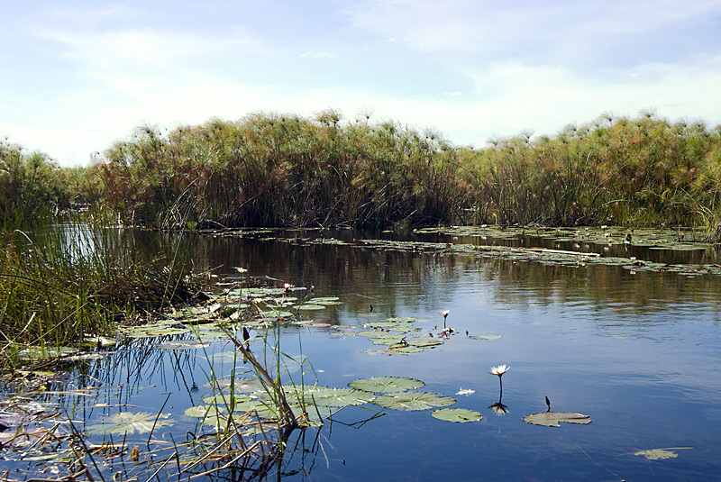 Okavango channel