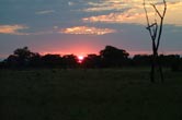 Savuti sunset