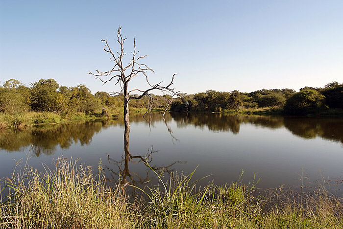 Londolozi camp dam