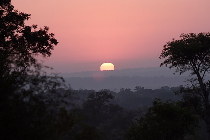 Londolozi dawn