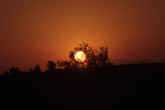 Londolozi sunset