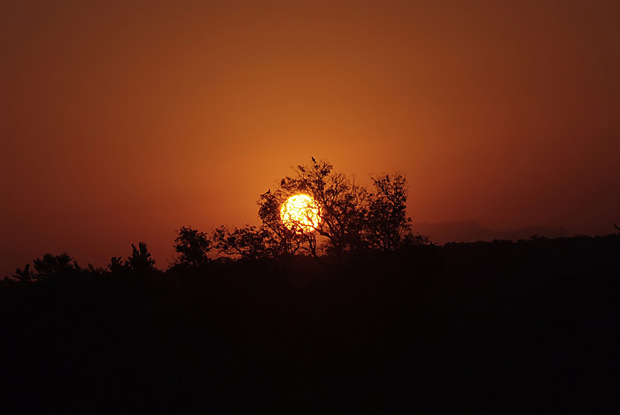 Londolozi sunset