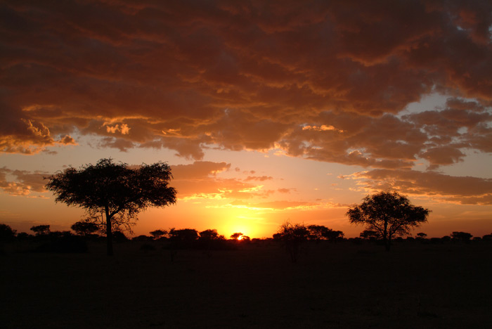 African sunset 