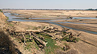 River Luangwa 