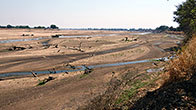 River Luangwa 