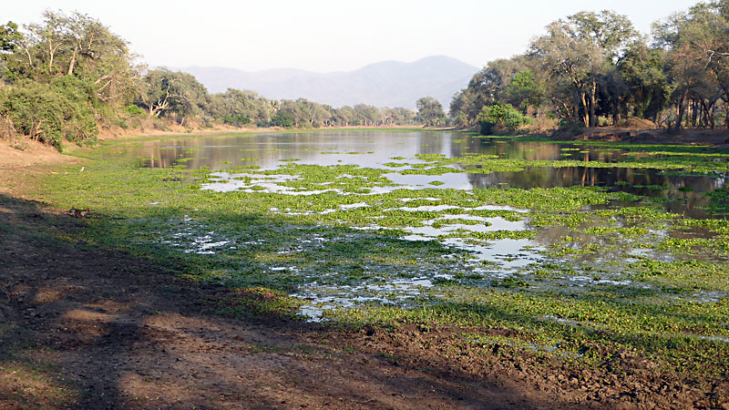 Lower Zambezi National Park