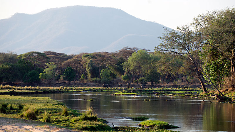 Lower Zambezi National Park